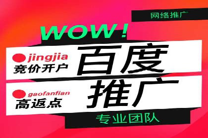 百度推广实战攻略：案例与策略